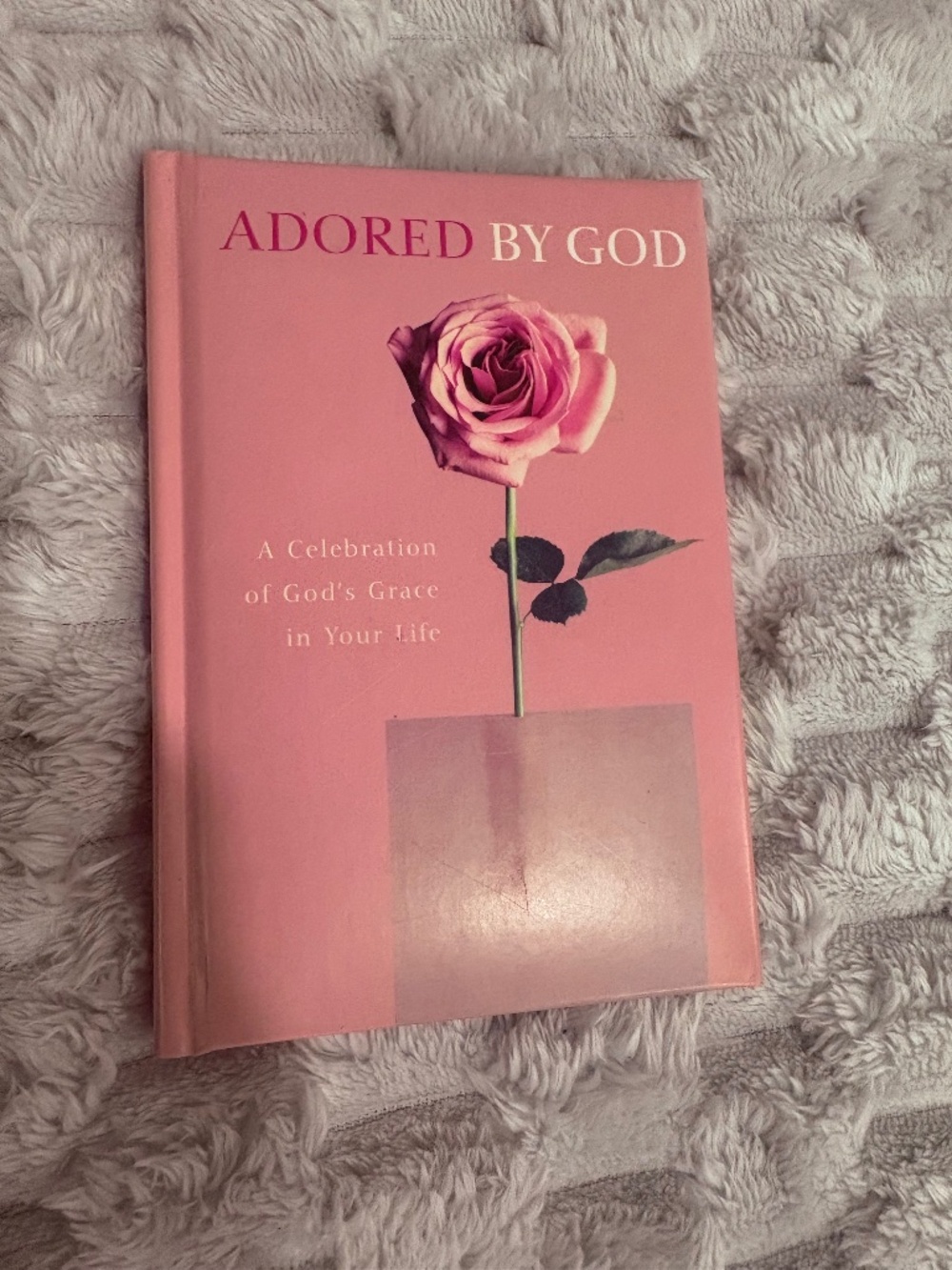 Adored by God Inspo Book
